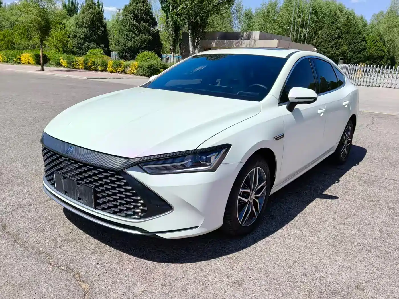 BYD Qin PLUS 2023 Champion Edition DM-i 120KM Surpassing Type