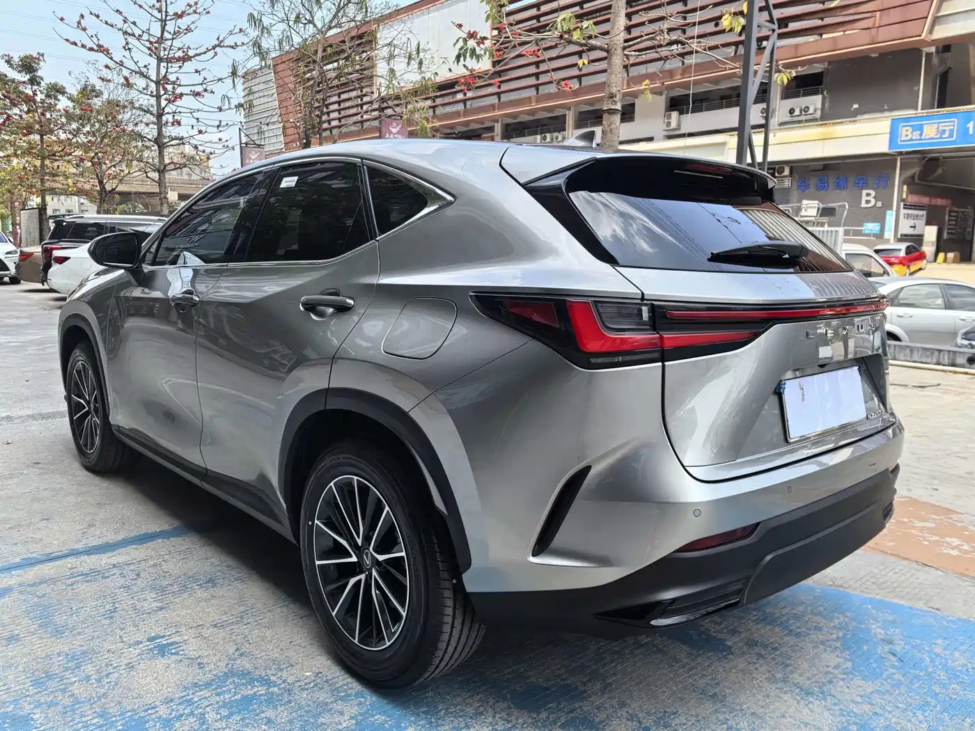 LEXUS NX
