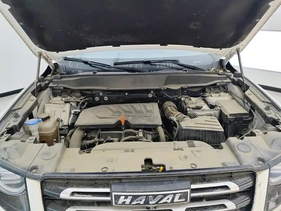 Haval Big Dog 2021 1.5T DCT 2WD Labrador Edition фото 10