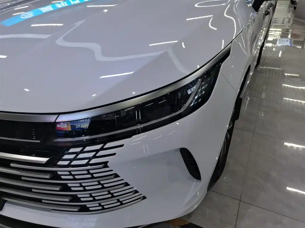 BYD Destroyer 05 2024 Glory Edition DM-i 55KM Luxury фото 24