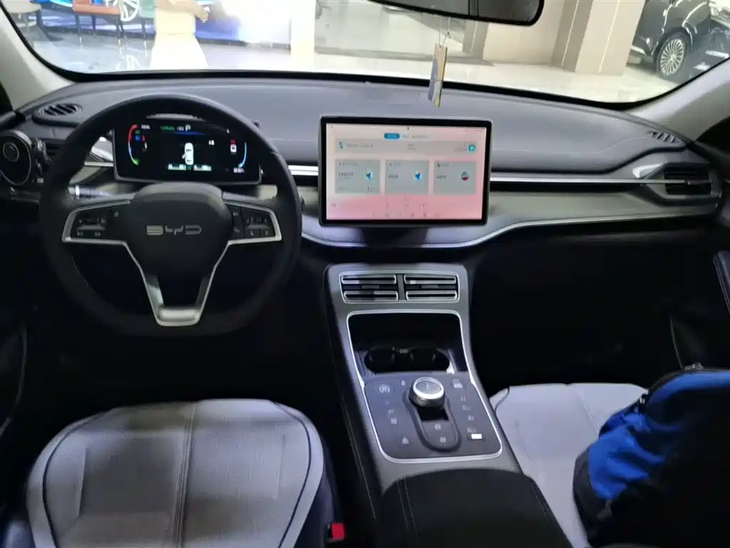 BYD Destroyer 05 2024 Glory Edition DM-i 55KM Luxury фото 10