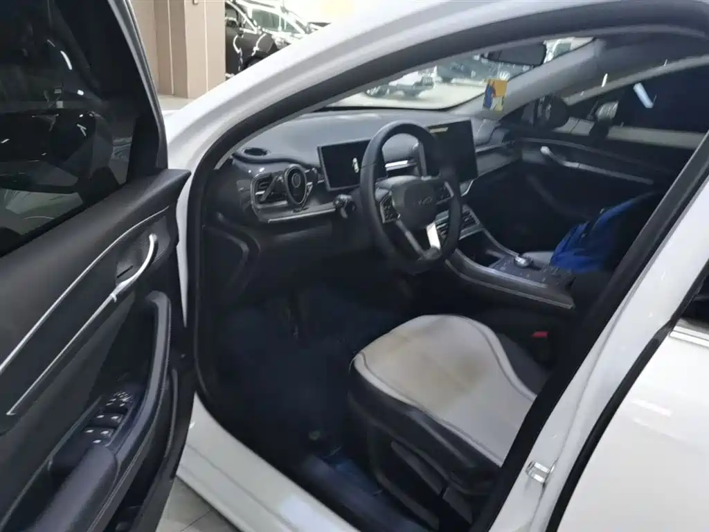 BYD Destroyer 05 2024 Glory Edition DM-i 55KM Luxury фото 16