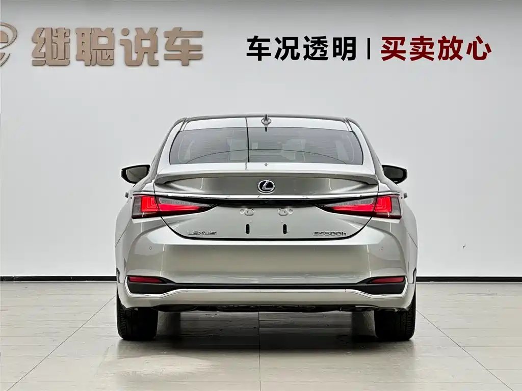 Lexus ES 2020 Model 300h Excellence Edition фото 4