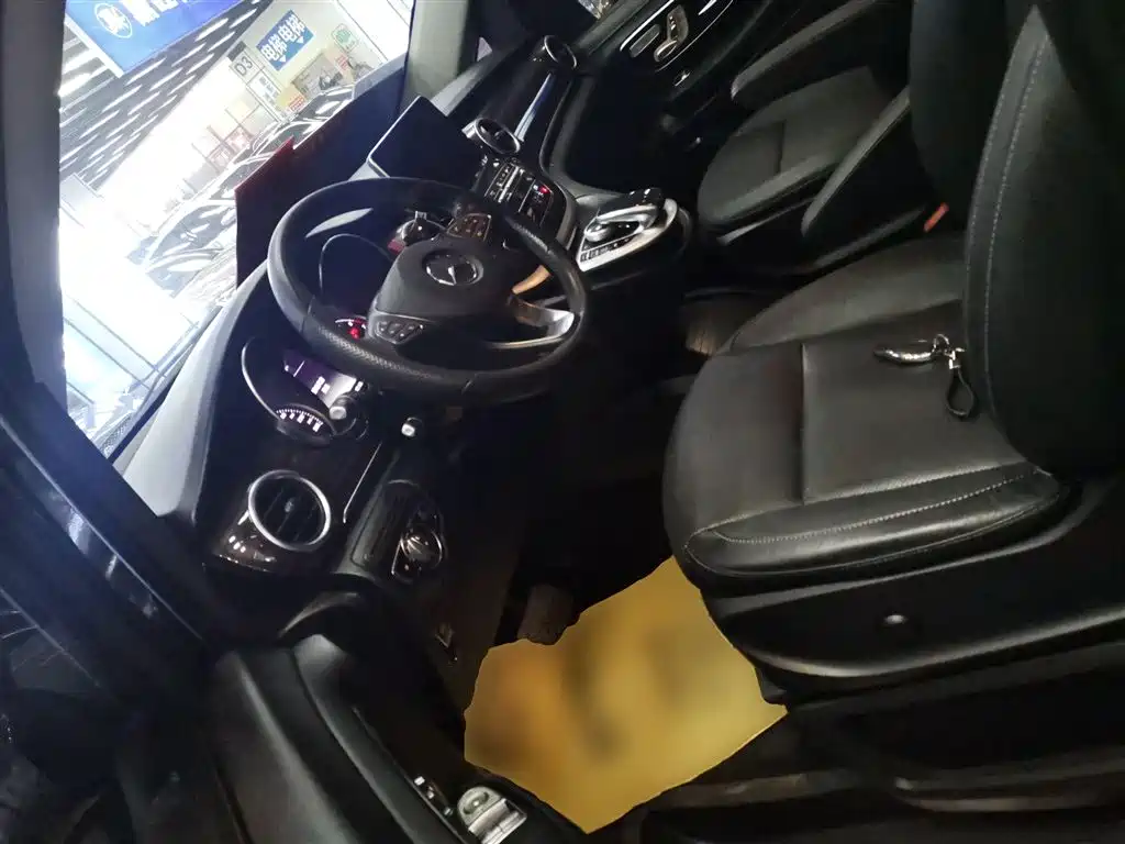 Mercedes-Benz V-Class 2018 V 260 Pilot Edition China V фото 15