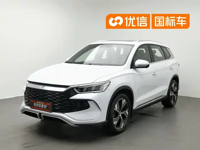 BYD Song Pro New Energy 2023 Champion Edition DM-i 110KM Excellence — фото 1