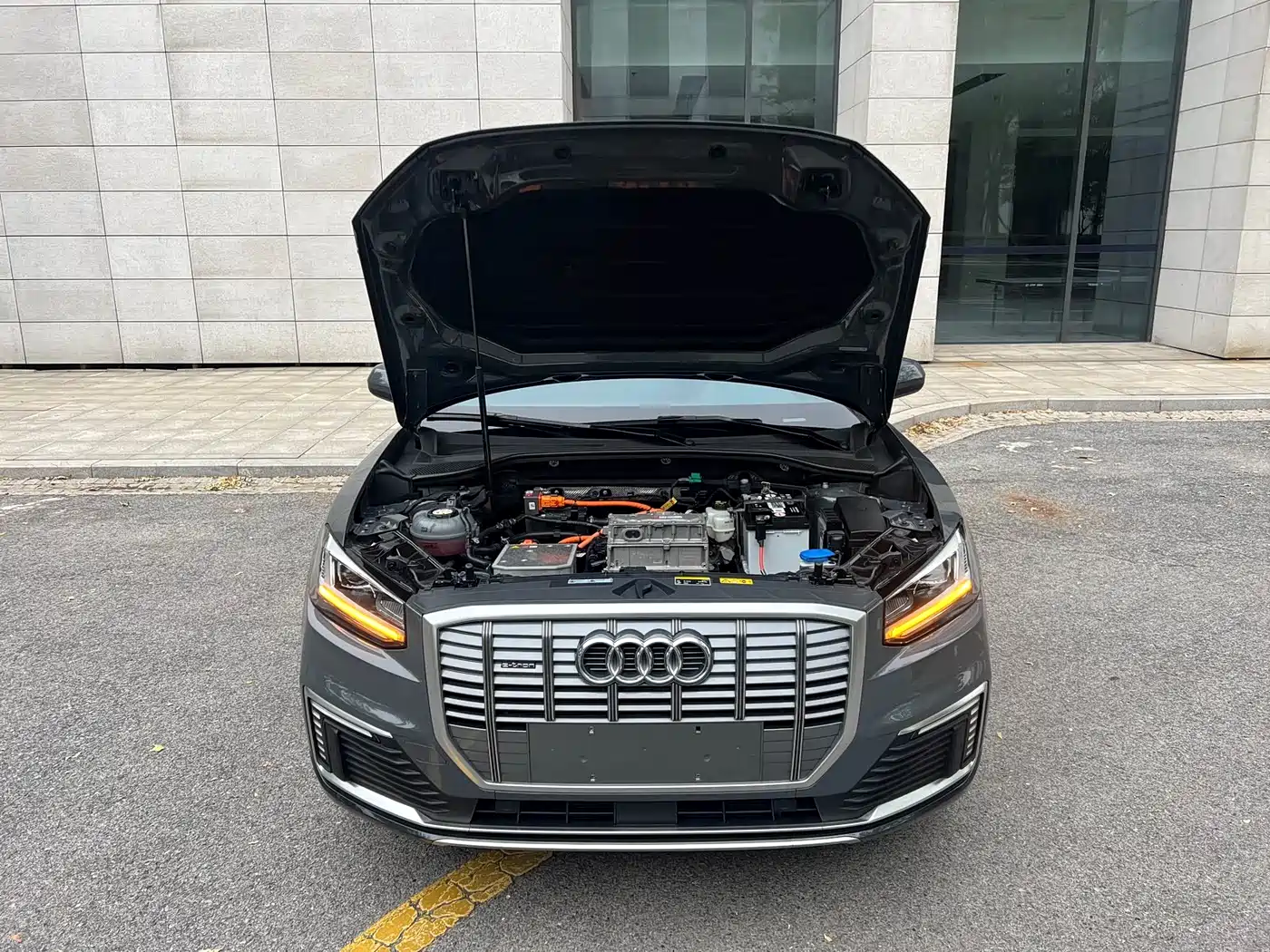 Audi Q2L e-tron 2019 Q2L e-tron Pure Electric Smart Cool Edition фото 15