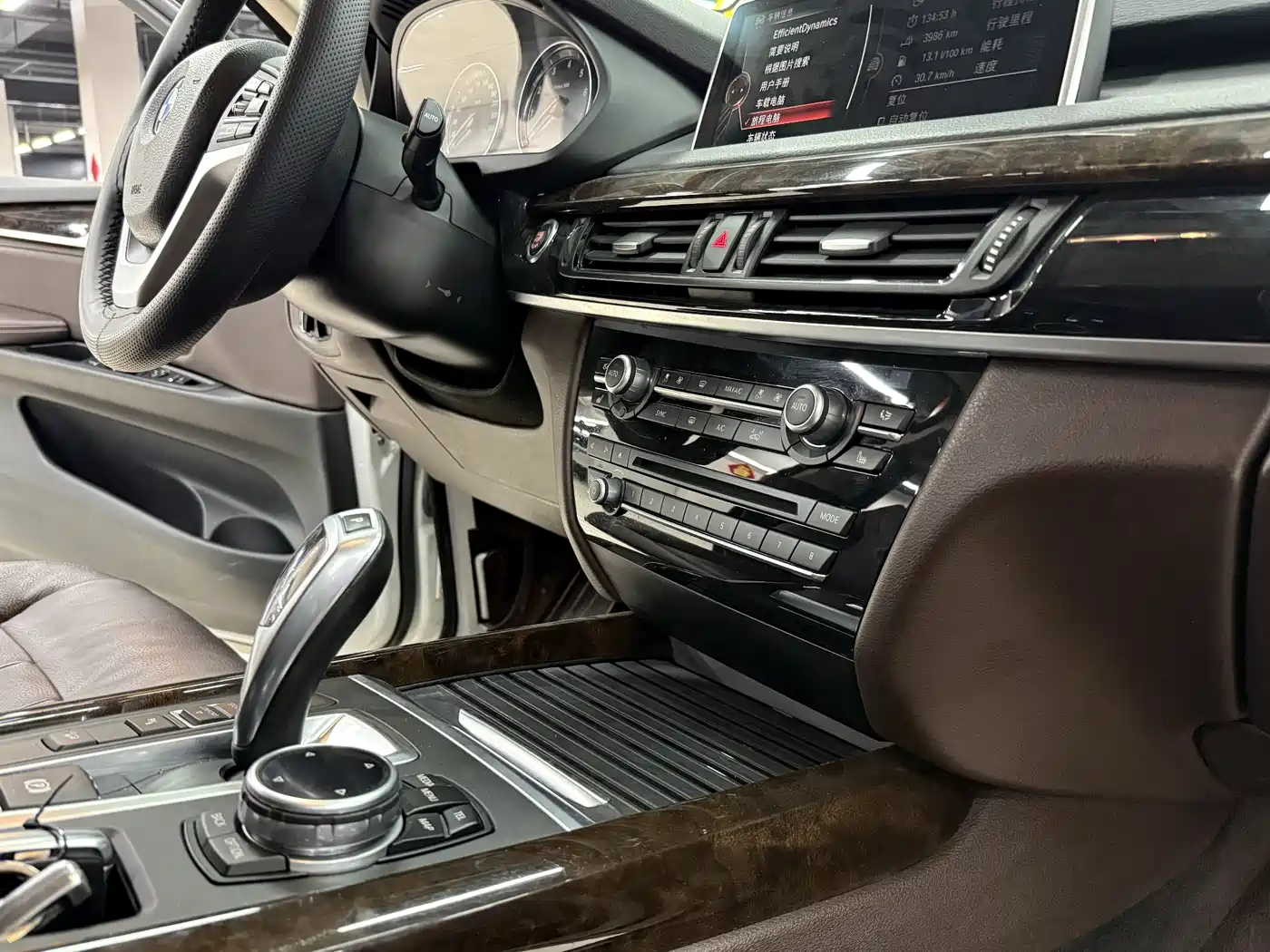 BMW X5 (Import) 2014 xDrive35i Leading фото 18