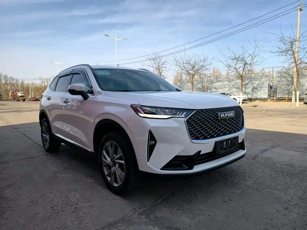 Haval H6 2021 3rd Gen 1.5T Auto 2WD Pro фото 2