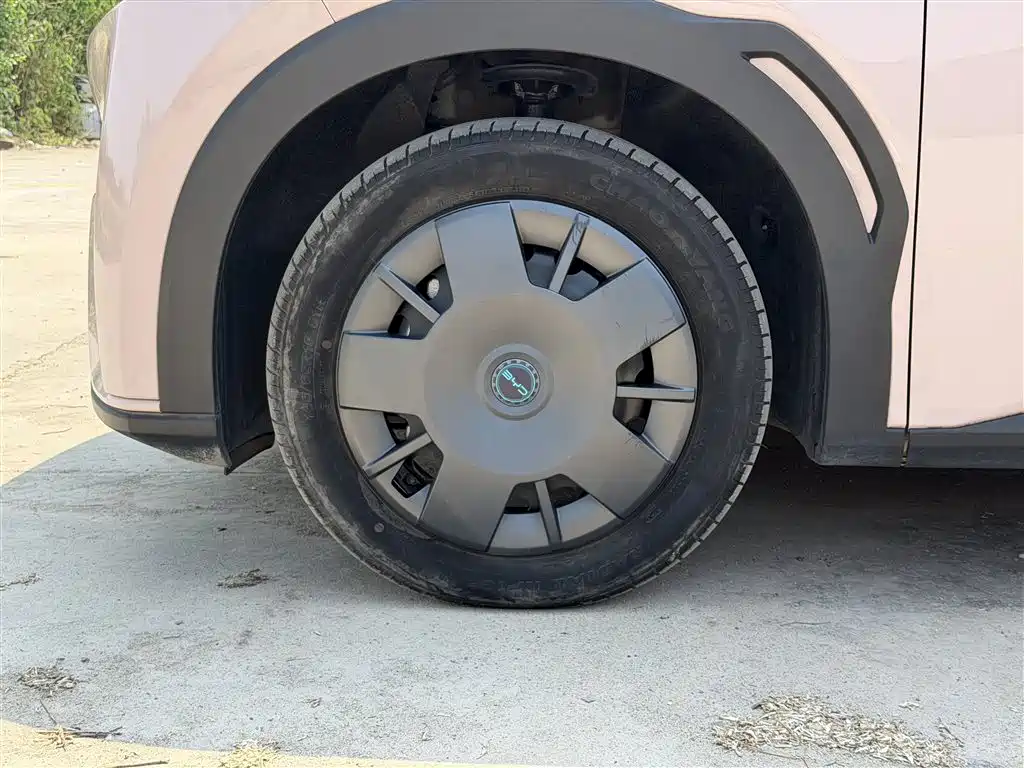 BYD Seagull 2025 305km Vitality фото 24