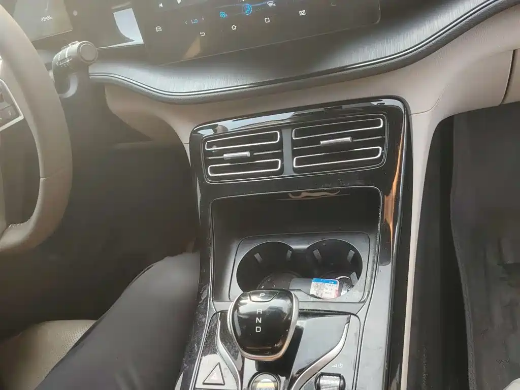 BYD Qin PLUS 2024 Glory Edition DM-i 55KM Leading фото 12