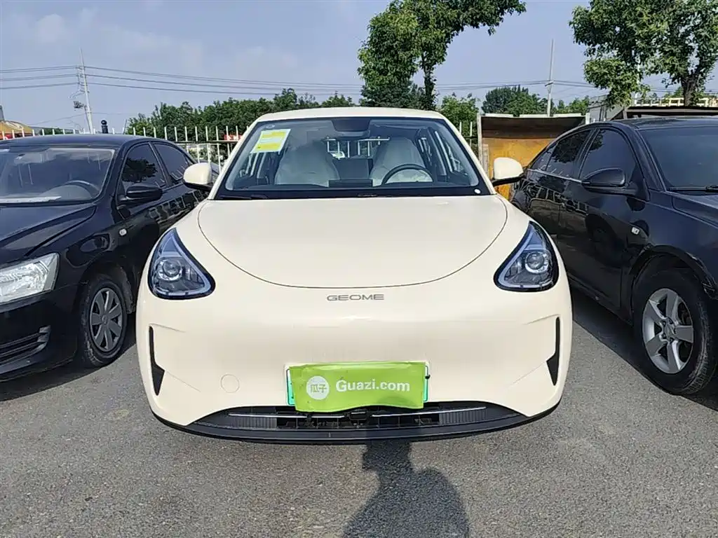 Geely Galaxy Starry Wish 2026 Edition 310km Youth Version фото 3