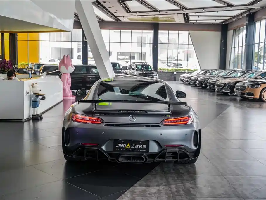 Mercedes-Benz AMG GT 2019 AMG GT R PRO фото 22