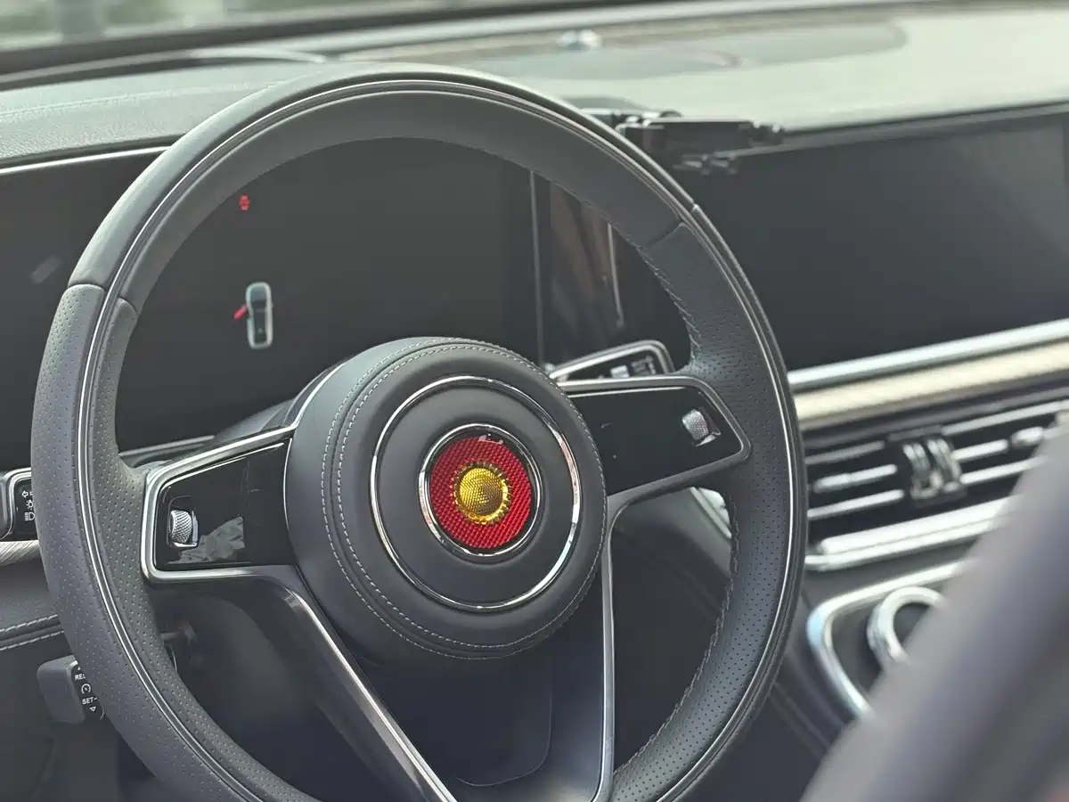 Фото 6 - Hongqi H9