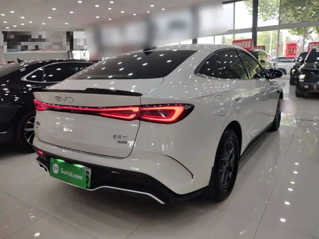 BYD Seal 06 New Energy 2025 DM-i Smart Drive 80KM Luxury фото 7