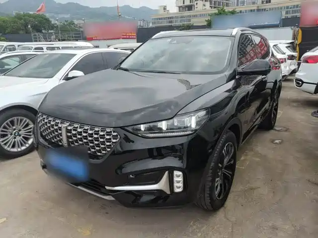  WEY Wey VV6 2021 2.0T 2WD Smart Enjoyment+