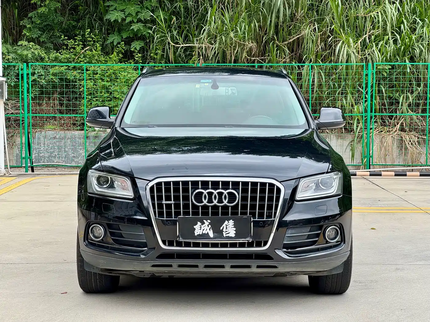 Audi Q5 2013 40 TFSI Technology фото 2