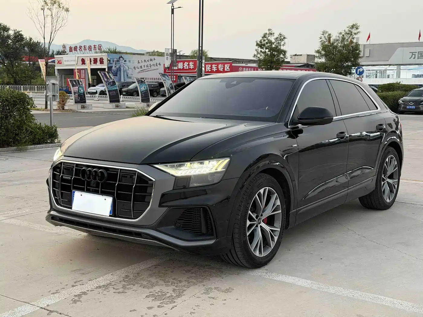 Audi Q8 2023 2022 55 TFSI Premium Selection Dynamic