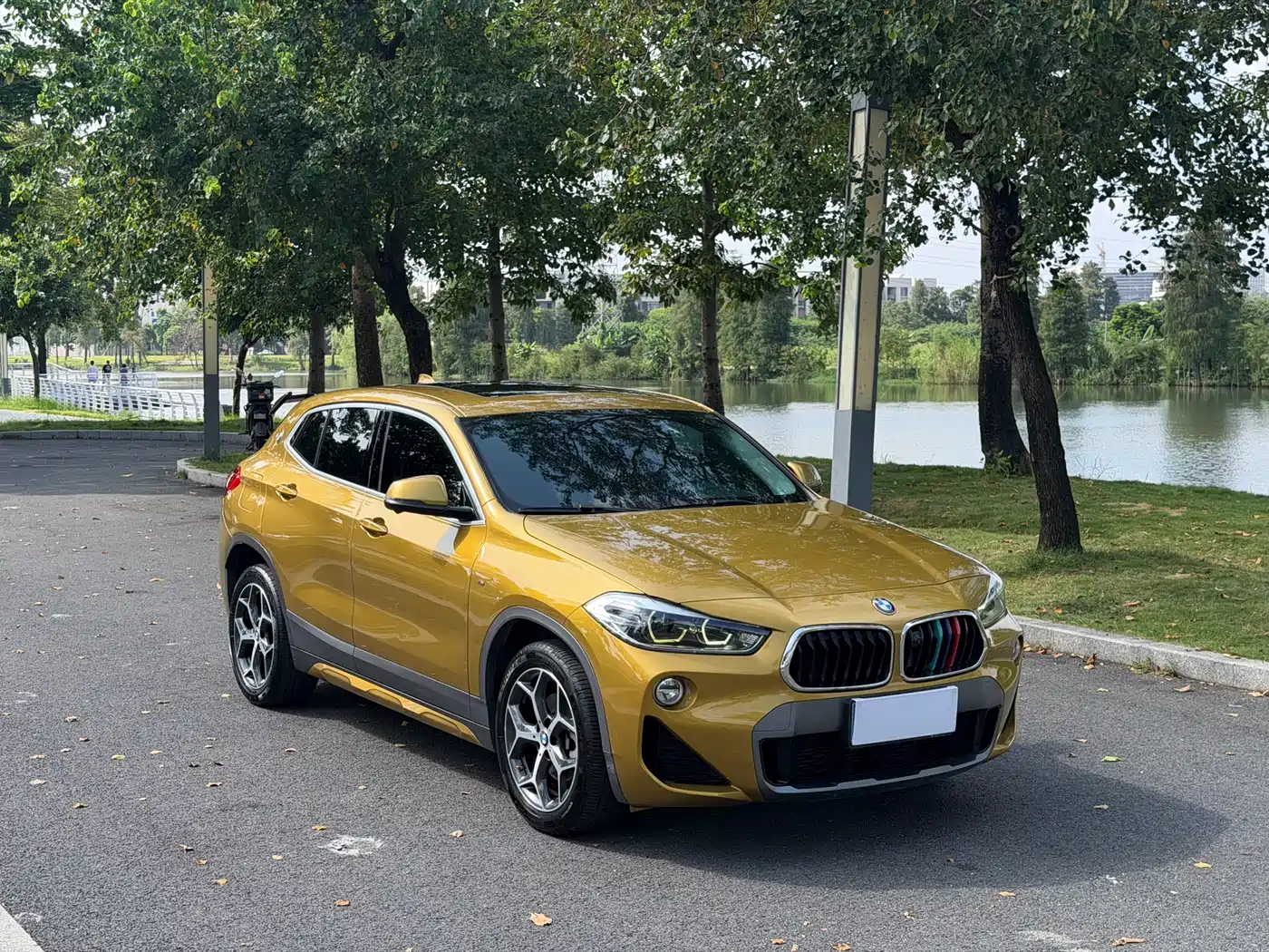 BMW X2 (Import) 2019 2019 sDrive20i M Off-Road Package China VI