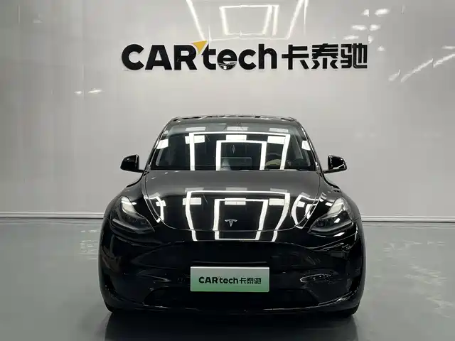 Tesla Model Y Задний привод
