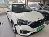 Фото 4 - Venucia T60EV