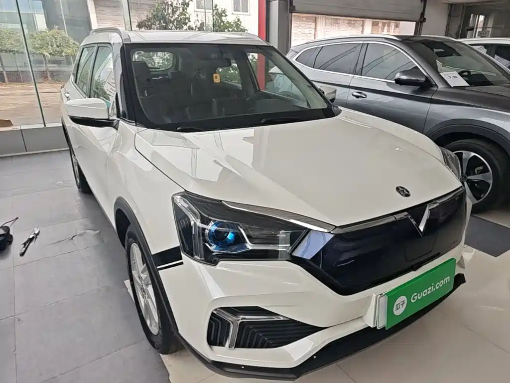 Фото 4 - Venucia T60EV