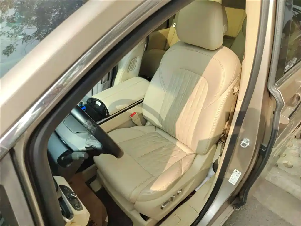 Buick GL8 2023 ES Landmaster Luxury фото 7