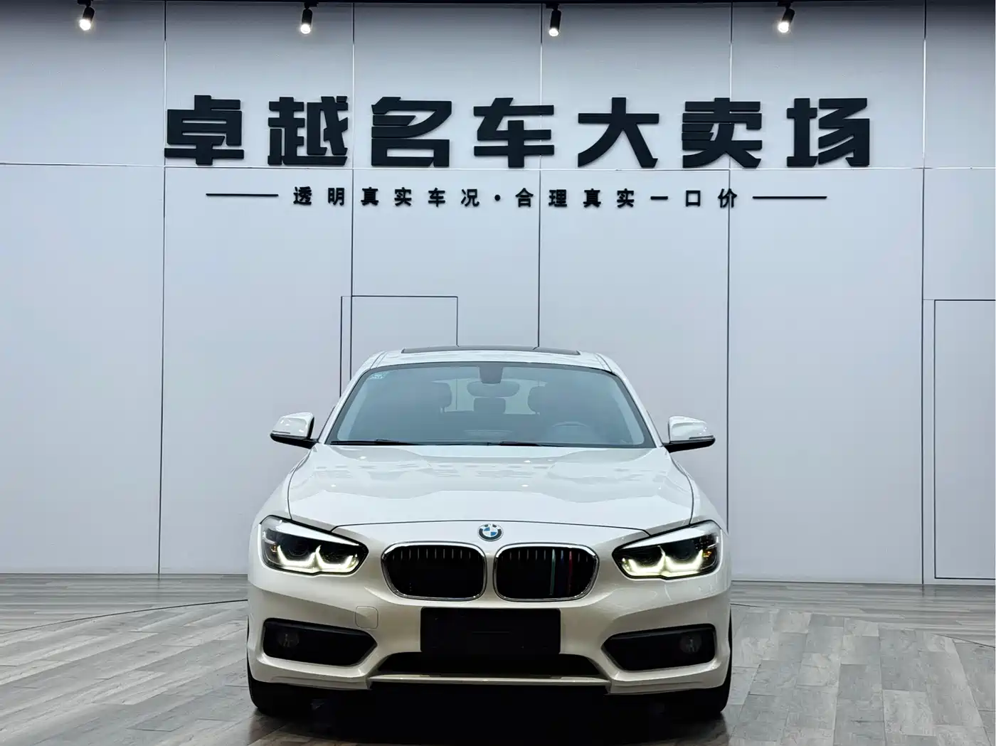 BMW 1 Series (Import) 2018 118i Leading фото 10