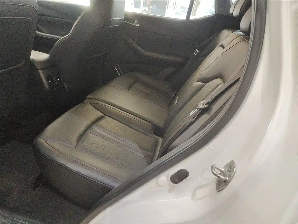 GAC Trumpchi Trumpchi GS4 2020 270T Automatic Elite Tech Version фото 14