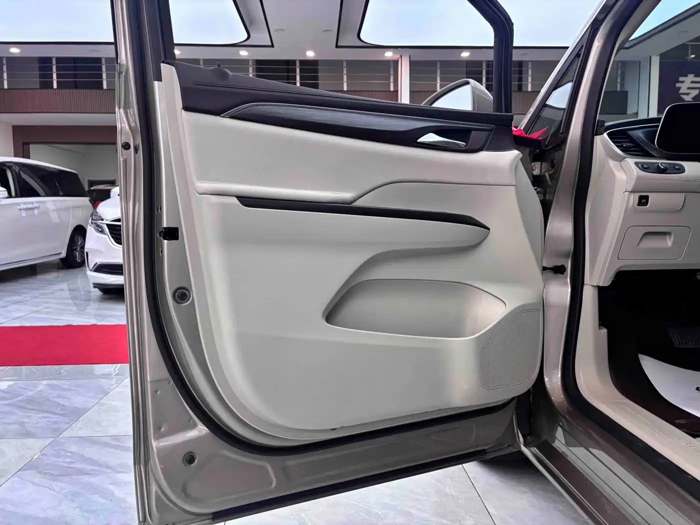 Buick GL8 2023 ES Landmaster Comfort фото 9