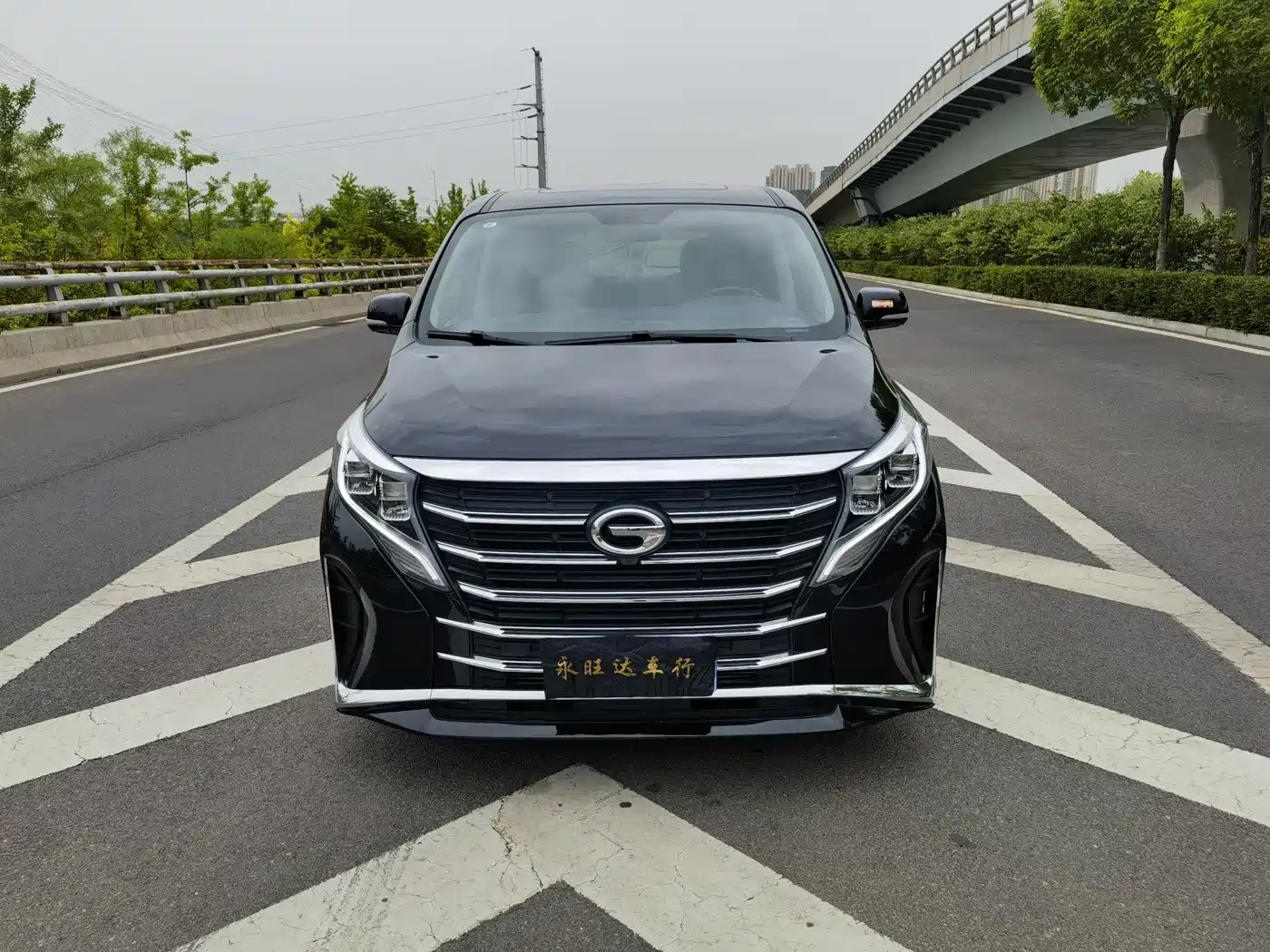 GAC Trumpchi Trumpchi M8 2024 Leadershow Series 390T Premium Edition фото 2