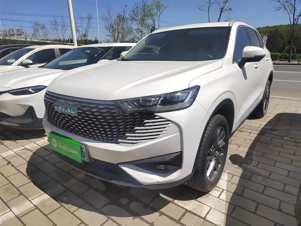 Haval H6 New Energy 2023 DHT-PHEV 110KM Joy Ride Edition фото 2