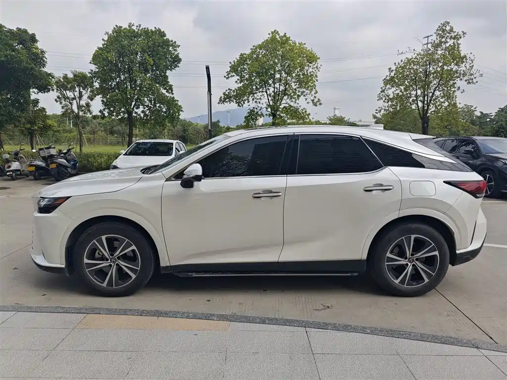 Фото 2 - Lexus RX