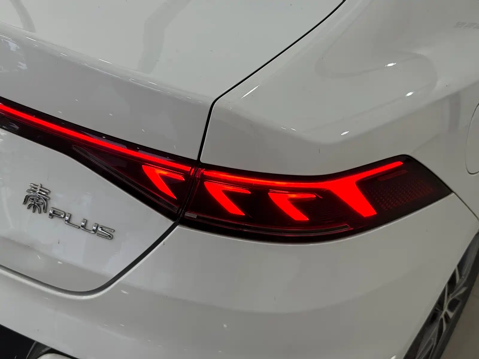 Фото 6 - BYD Qin PLUS