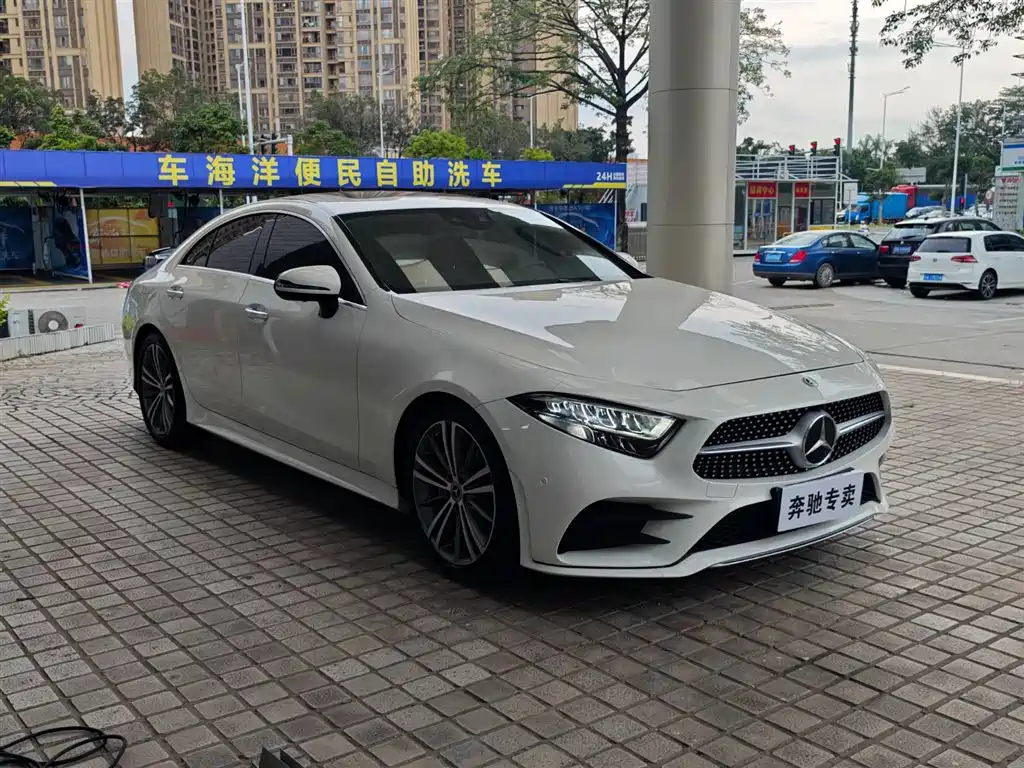 Mercedes-Benz CLS 2018 CLS 300 Luxury фото 3