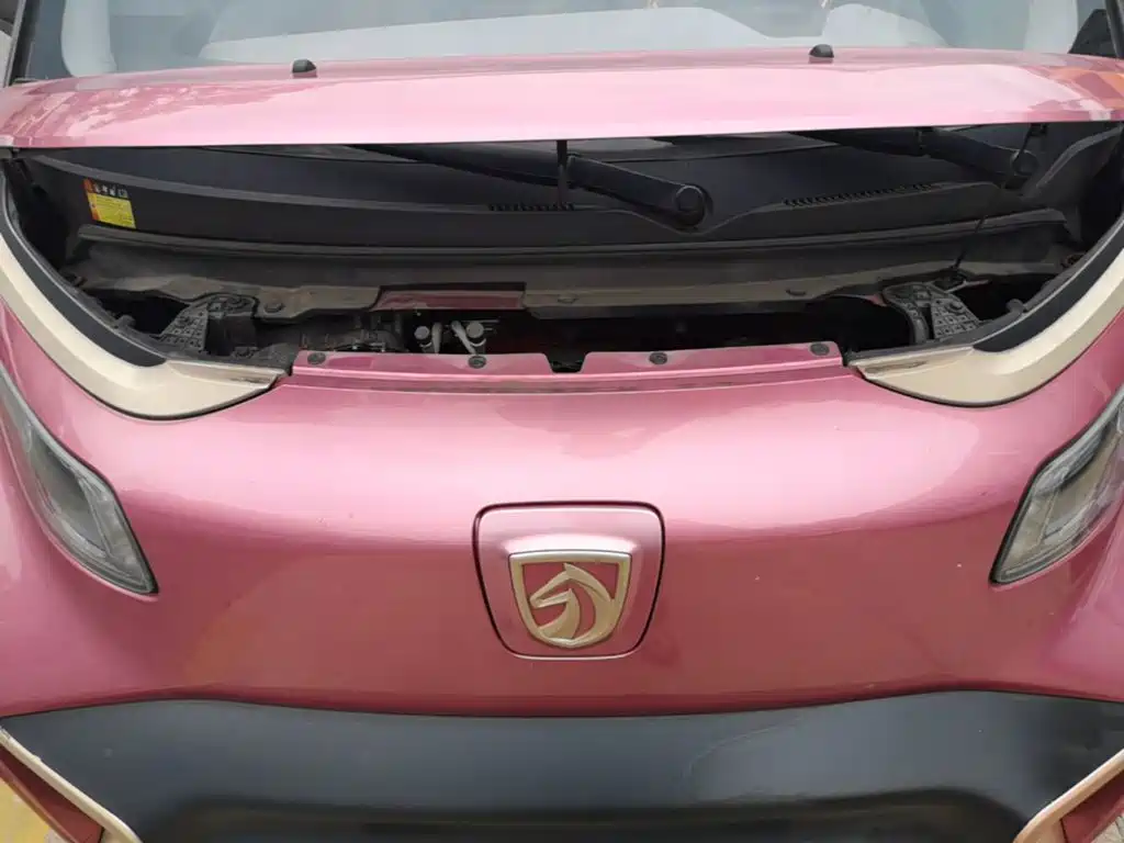 Baojun E200 2019 2019 250KM Smart Edition
