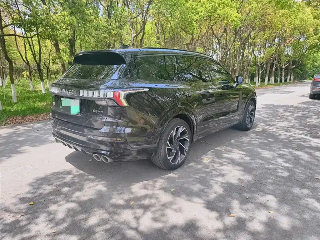 Lynk & Co 09 EM-P 2021 2.0T PHEV Halo 6-seater фото 4