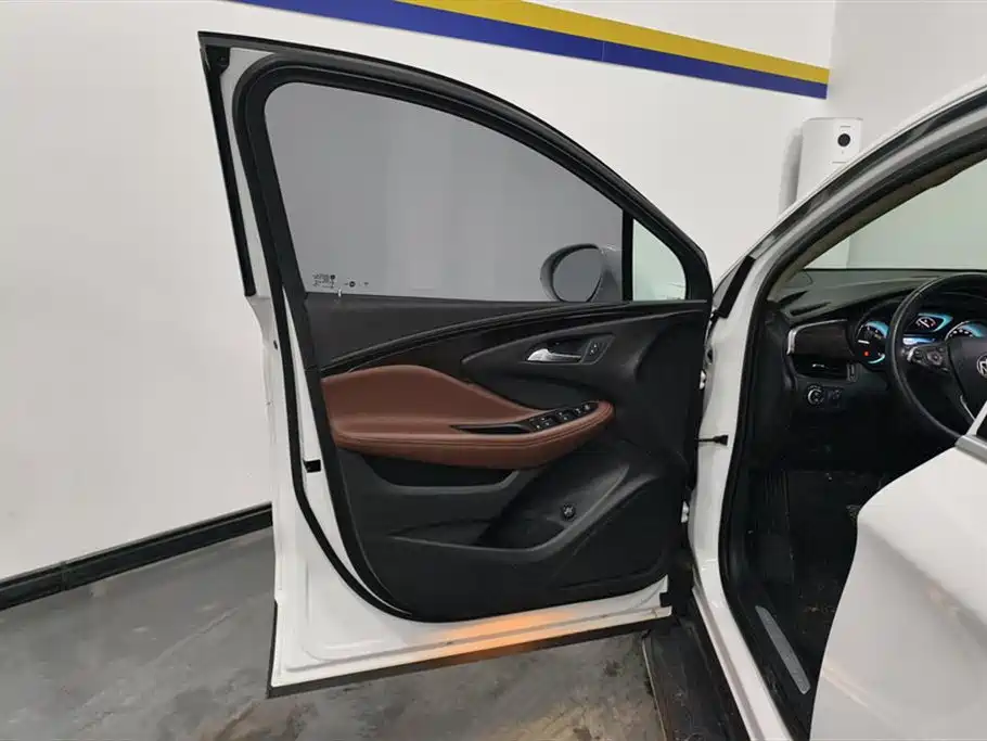 Buick Envision Plus 2017 20T 2WD Luxury фото 7