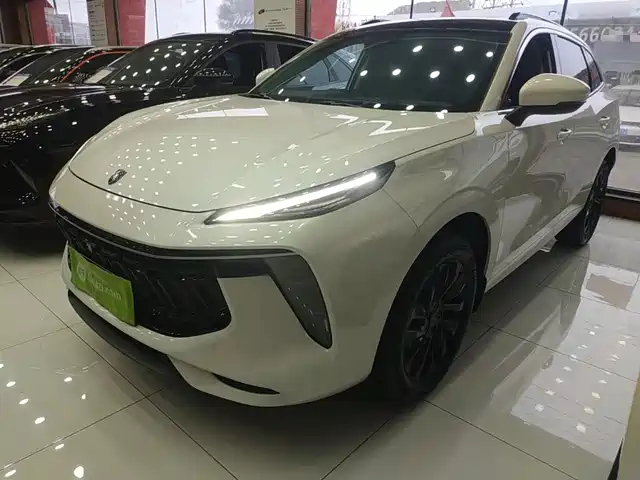  Dongfeng Fengxing Fengxing T5 EVO 2021 1.5TD DCT Diamond Edition