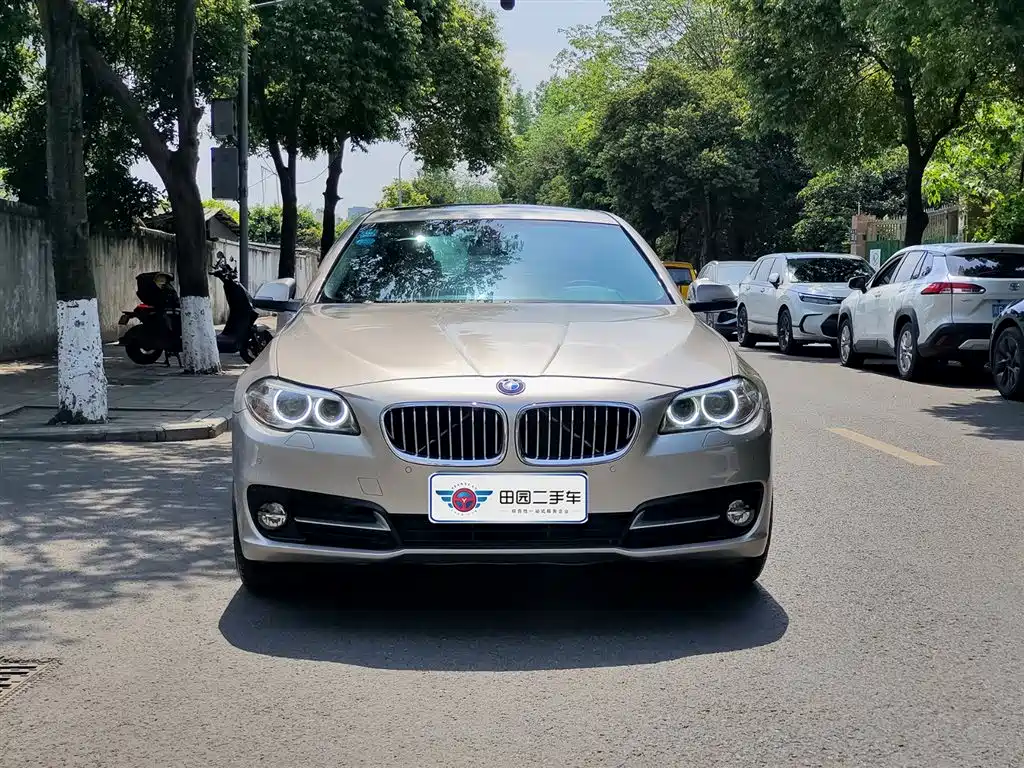BMW 5 Series 2014 520Li Elegance фото 2