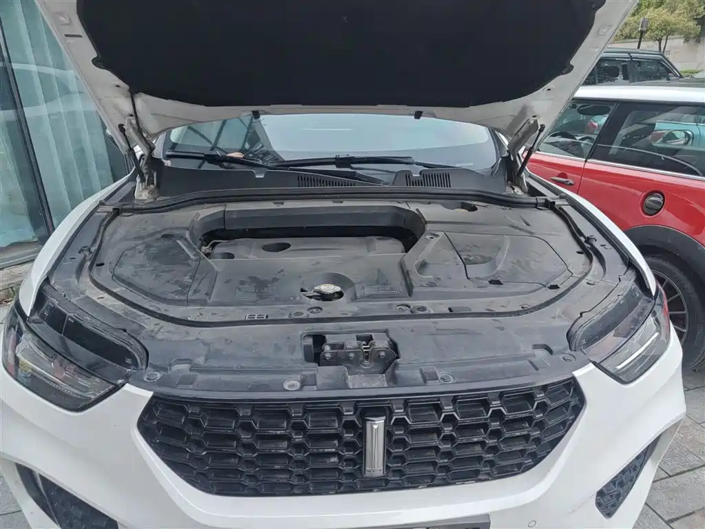 WEY VV5 2018 2017 2.0T Super Luxury Model