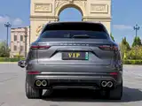 Photo 8 - Porsche Cayenne New Energy