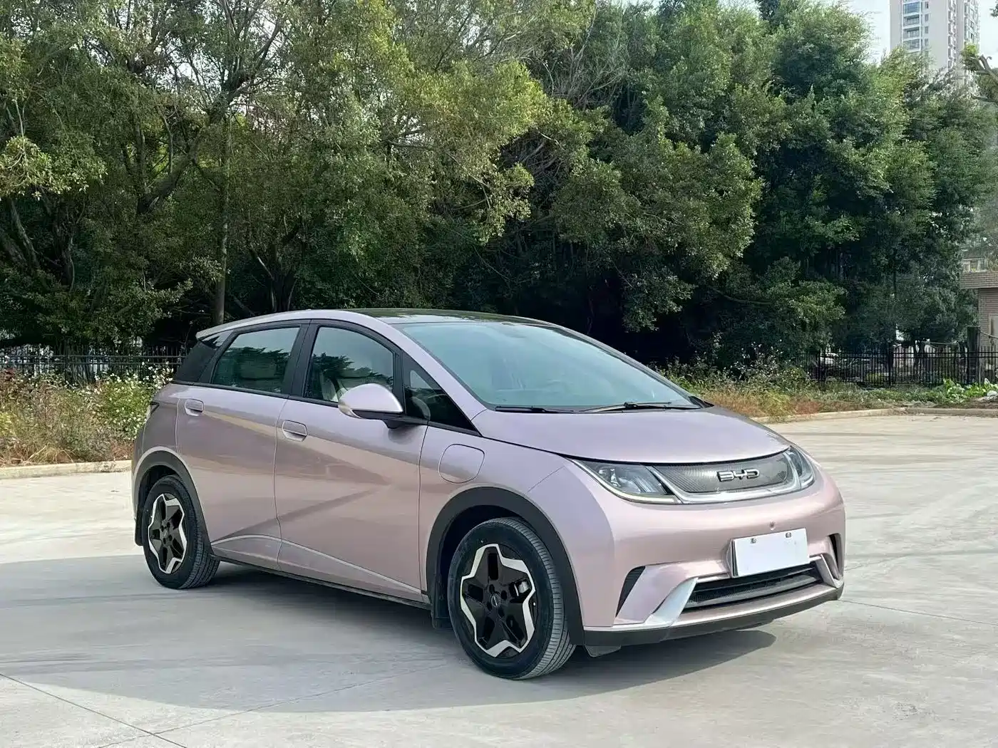 BYD Dolphin 2021