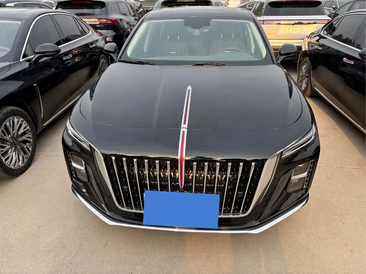 Hongqi H5 2024 1.5T DCT Smart Connect Flag Rhythm Edition фото 2