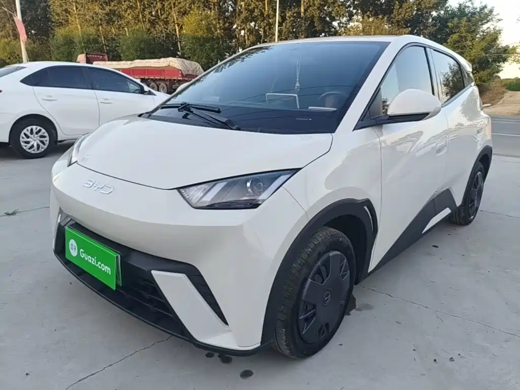 BYD Seagull 2024 Glory Edition 305km Vitality Edition