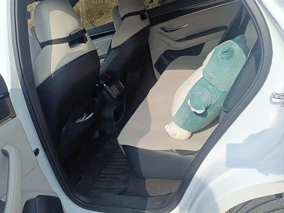 BYD SONGJIANG NEW ENERGY