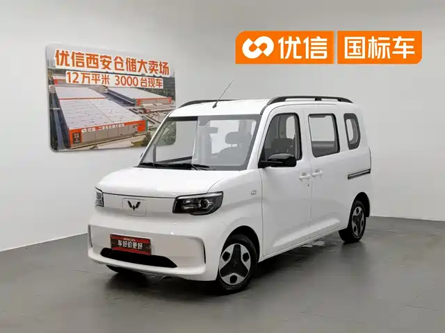  Wuling Motors Wuling Zhiguang NEV 2025 Model Comfort