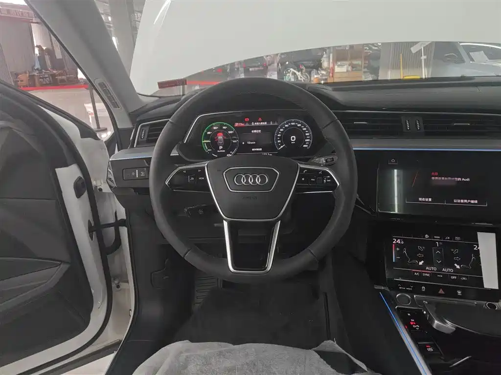 Audi e-tron 2021 50 quattro Luxury фото 11