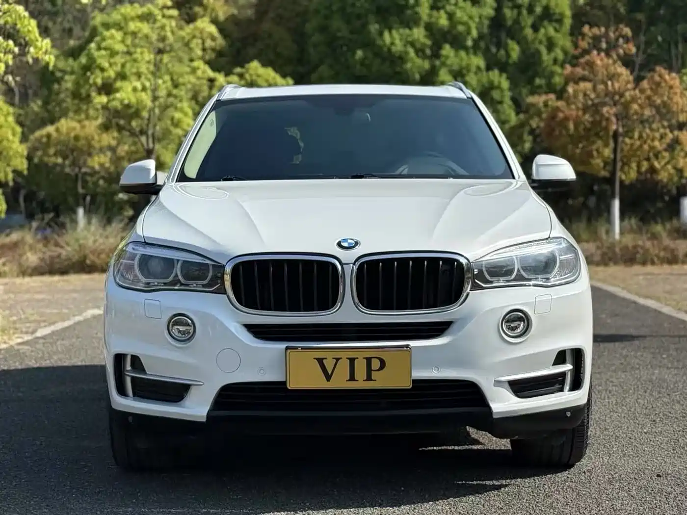 BMW X5 (Import) 2014 xDrive35i Luxury фото 2
