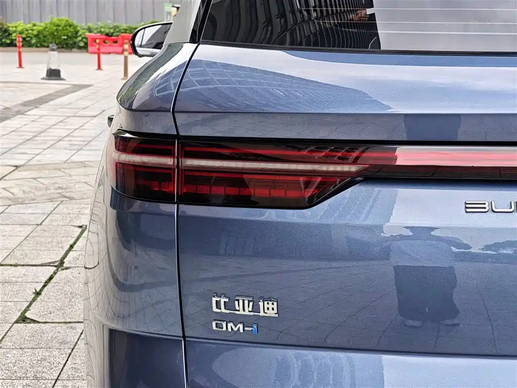 BYD Song Pro New Energy 2024 Glory Edition DM-i 110KM Excellence фото 13