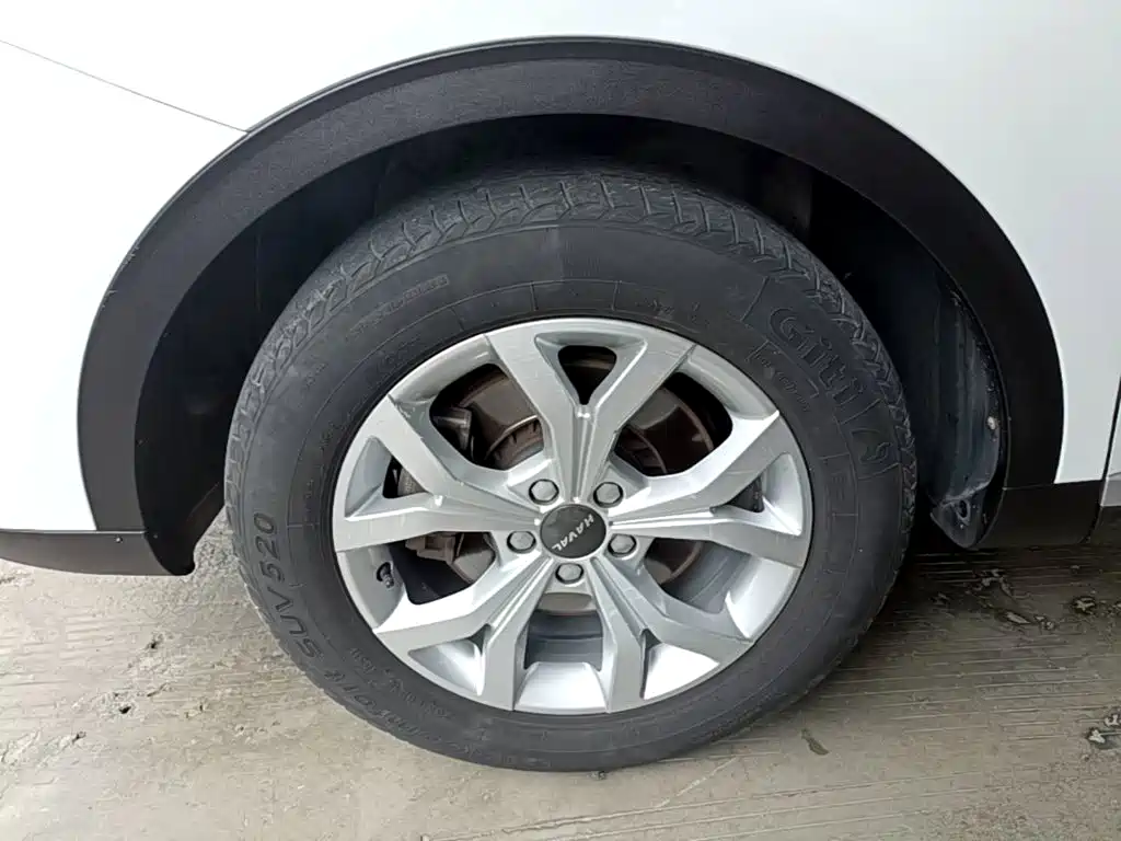 Фото 25 - Haval H6